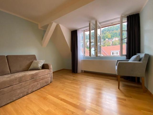 דירות היידלברג Boardinghouse Goethehaus מראה חיצוני תמונה